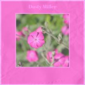 Dusty Miller