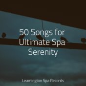 50 Songs for Ultimate Spa Serenity