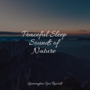 Peaceful Sleep Sounds of Nature