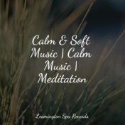 Calm & Soft Music | Calm Music | Meditation