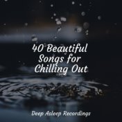 40 Beautiful Songs for Chilling Out