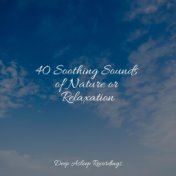 40 Soothing Sounds of Nature or Relaxation