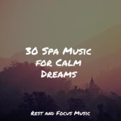 30 Spa Music for Calm Dreams