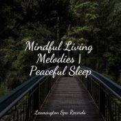 Mindful Living Melodies | Peaceful Sleep