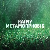 Rainy Metamorphosis: Healing Rainfall ASMR for Relaxation in Bed