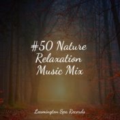 #50 Nature Relaxation Music Mix