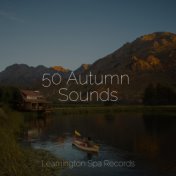 50 Autumn Sounds