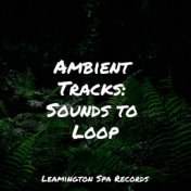 Ambient Tracks: Sounds to Loop