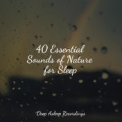 40 Essential Sounds of Nature for Sleep