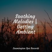 Soothing Melodies | Getting Ambient