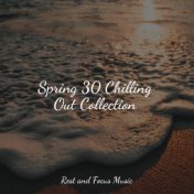 Spring 30 Chilling Out Collection