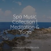 Spa Music Collection | Meditation & Yoga