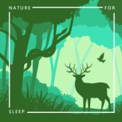 Nature for Sleep: Calm Zone, Have a Nice Dream, Insomnia Relief