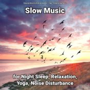 Slow Music for Night Sleep, Relaxation, Yoga, Noise Disturbance