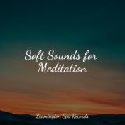 Soft Sounds for Meditation