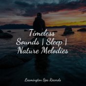 Timeless Sounds | Sleep | Nature Melodies