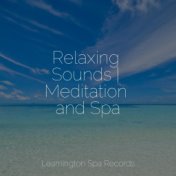 Relaxing Sounds | Meditation and Spa