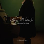 Piano Melodies for Concentration