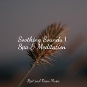 Soothing Sounds | Spa & Meditation