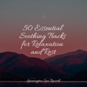 50 Essential Soothing Tracks for Relaxation and Rest