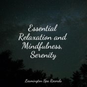 Essential Relaxation and Mindfulness, Serenity