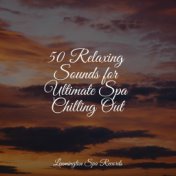 50 Relaxing Sounds for Ultimate Spa Chilling Out