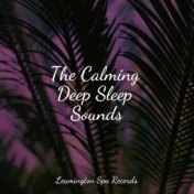 The Calming Deep Sleep Sounds