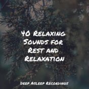 40 Relaxing Sounds for Rest and Relaxation