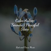 Calm Asleep Sounds | Peaceful Sleep
