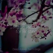 40 Ultimate Relaxation Music Pieces for Resting