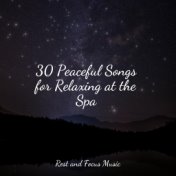 30 Peaceful Songs for Relaxing at the Spa