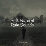 Soft Natural Rain Sounds