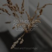 50 Hypnotic Spring Music Collection