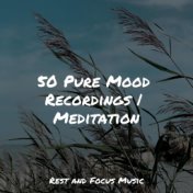 50 Pure Mood Recordings | Meditation