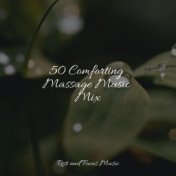 50 Comforting Massage Music Mix