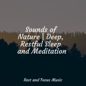 Sounds of Nature | Deep, Restful Sleep and Meditation
