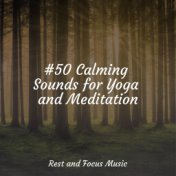 #50 Calming Sounds for Yoga and Meditation