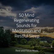 50 Mind Regenerating Sounds for Meditation and Restful Sleep