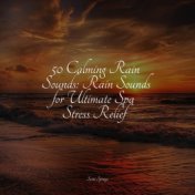 50 Calming Rain Sounds: Rain Sounds for Ultimate Spa Stress Relief
