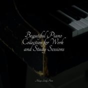 Beautiful Piano Collection for Work and Study Sessions