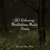 50 Relaxing Meditation Music Pieces