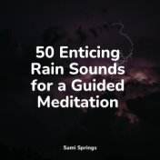 50 Enticing Rain Sounds for a Guided Meditation