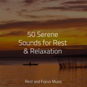 50 Serene Sounds for Rest & Relaxation