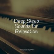 Deep Sleep Sounds for Relaxation