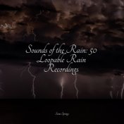 Sounds of the Rain: 50 Loopable Rain Recordings