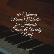 50 Calming Piano Melodies for Intimate Stress & Anxiety Relief
