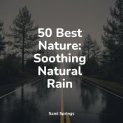 50 Best Nature: Soothing Natural Rain