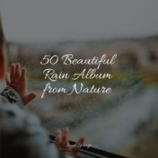 50 Beautiful Rain Album from Nature
