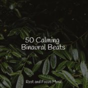 50 Calming Binaural Beats