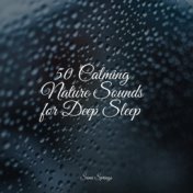 50 Calming Rain Sounds